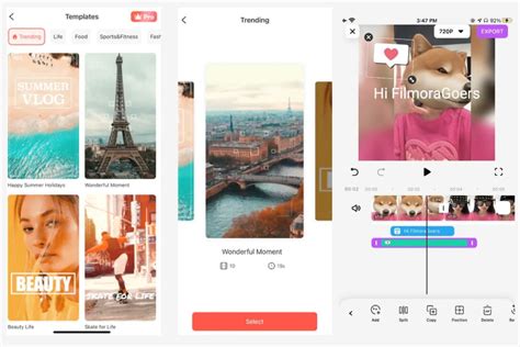 VSCO Photo & Video Editor .
